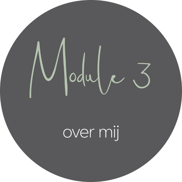 business school module 3
